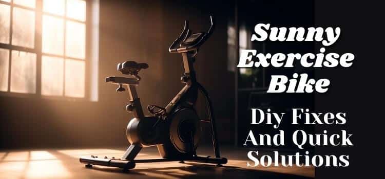 Sunny Exercise Bike Monitor Display Not Working