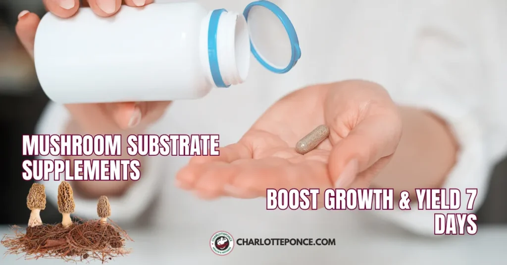 Mushroom Substrate Supplements-Boost Growth & Yield 7 Days Mushroom Substrate Supplements