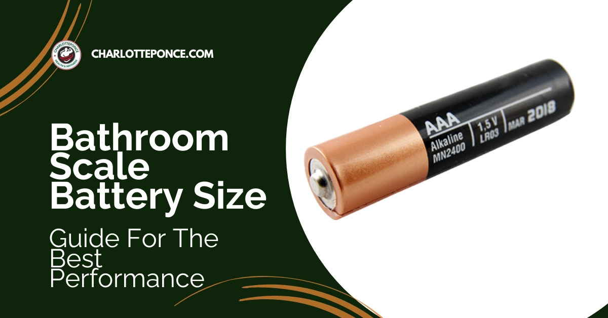 Bathroom Scale Battery Size