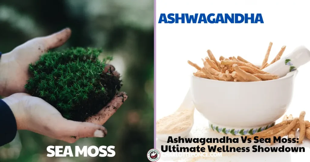 Ashwagandha Vs Sea Moss